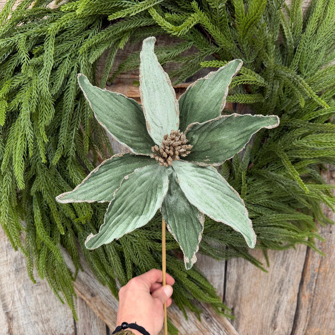 24" Sage Green Velvet Poinsettia Stem with Glitter Edges