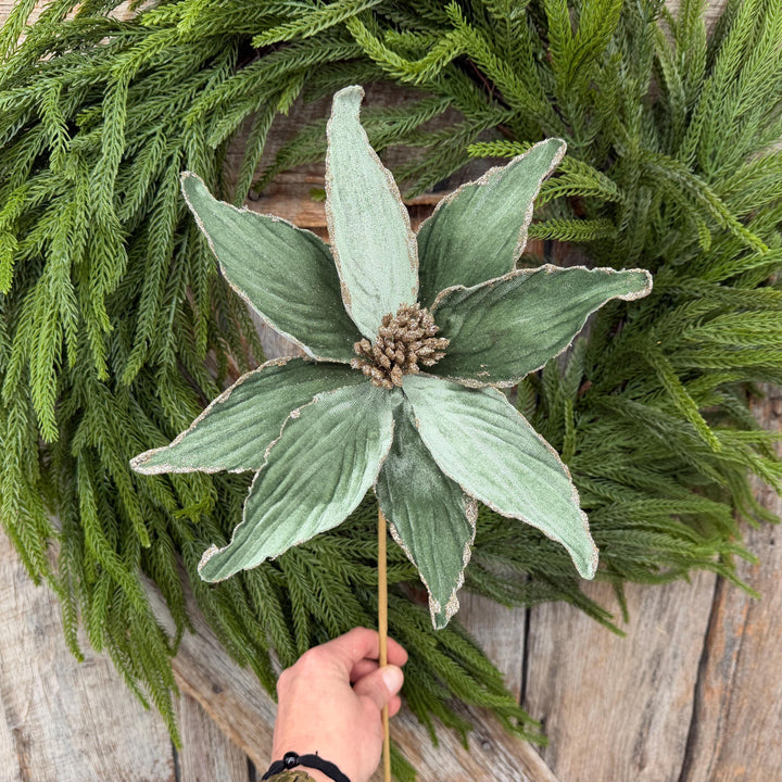 24" Sage Green Velvet Poinsettia Stem with Glitter Edges