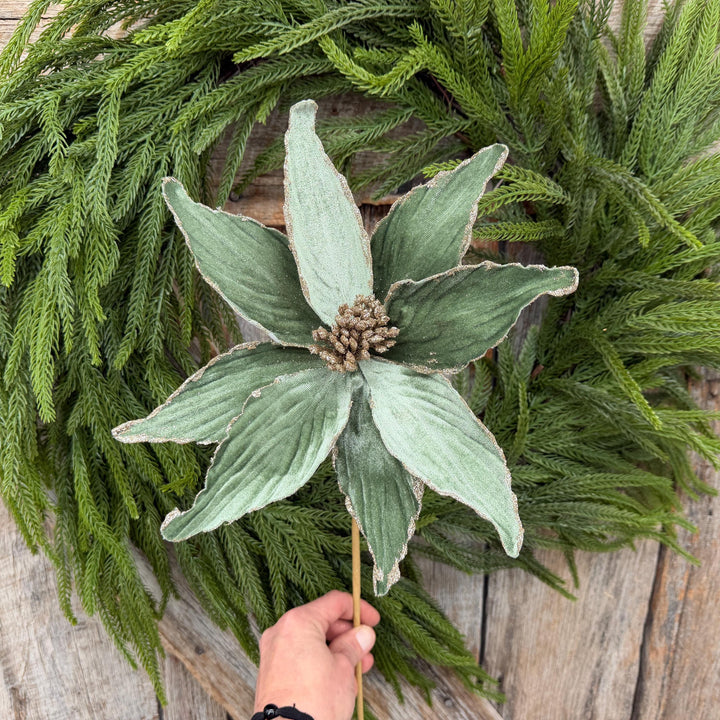 24" Sage Green Velvet Poinsettia Stem with Glitter Edges
