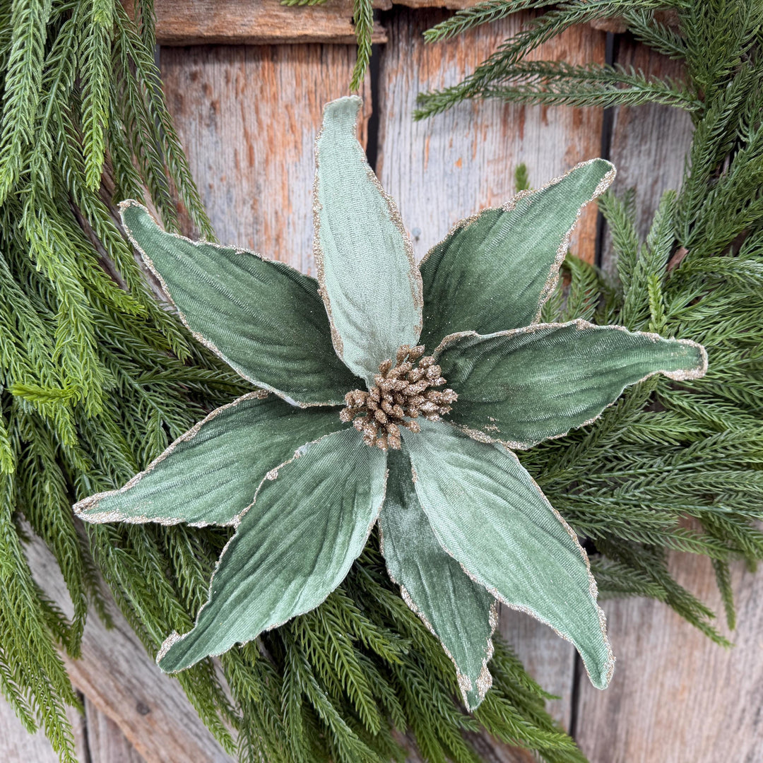 24" Sage Green Velvet Poinsettia Stem with Glitter Edges