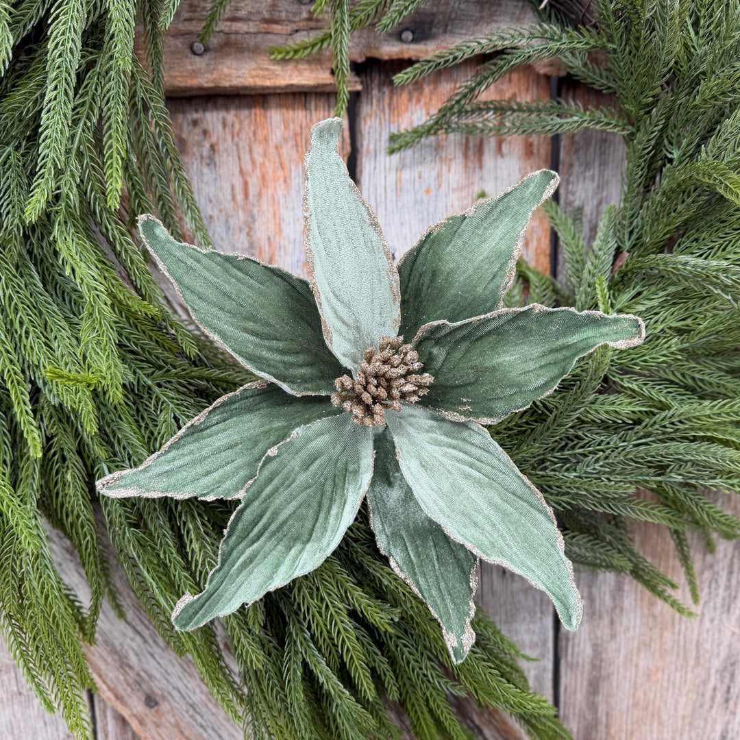 24" Sage Green Velvet Poinsettia Stem with Glitter Edges