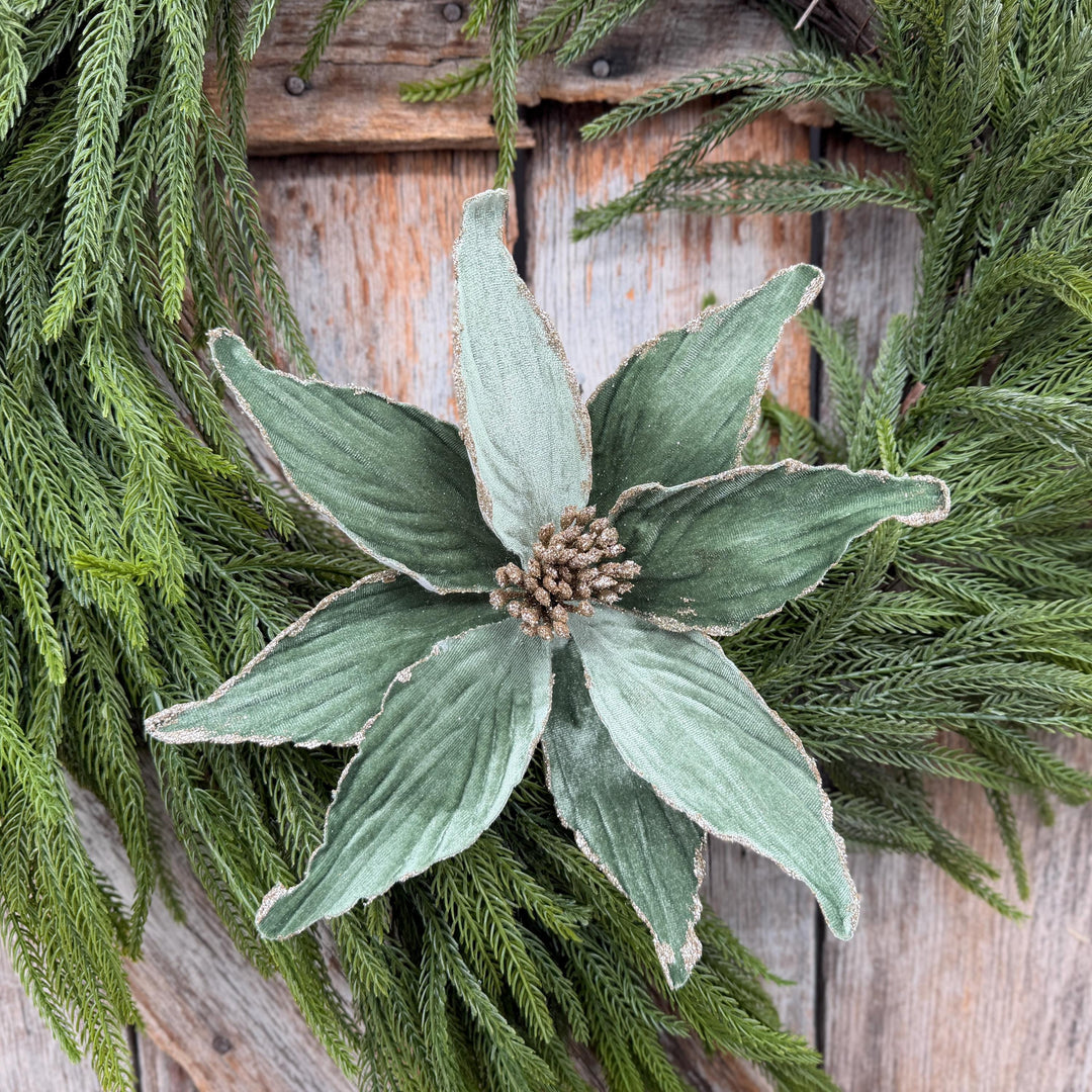 24" Sage Green Velvet Poinsettia Stem with Glitter Edges