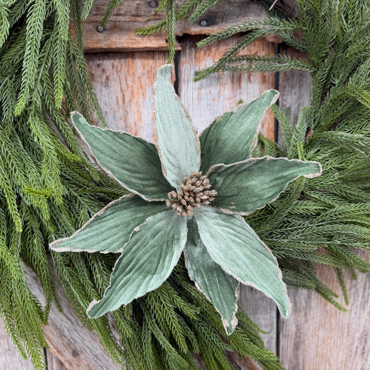 24" Sage Green Velvet Poinsettia Stem with Glitter Edges