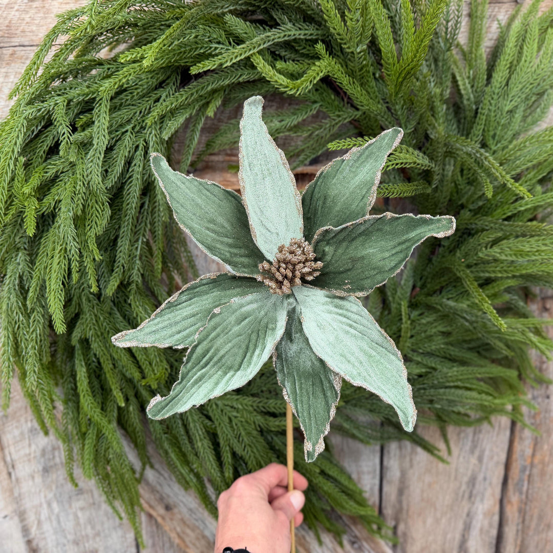 24" Sage Green Velvet Poinsettia Stem with Glitter Edges