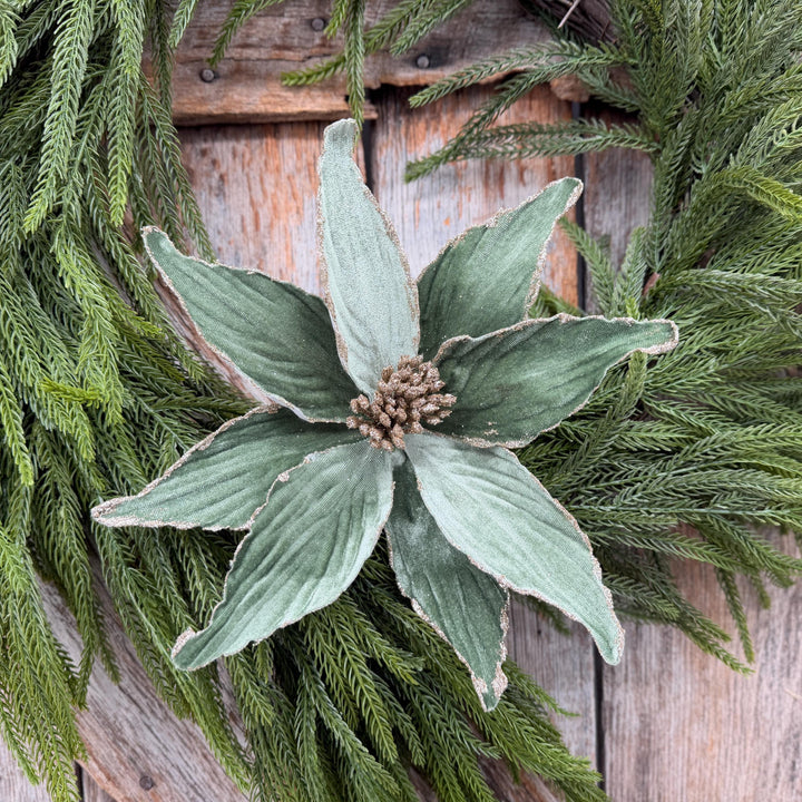 24" Sage Green Velvet Poinsettia Stem with Glitter Edges