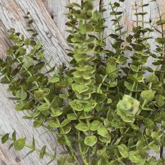 18" Eucalyptus Bush, Christmas Eucalyptus Bush, Fall Eucalyptus Bush