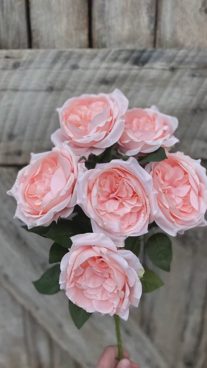 19" Blush English Garden Rose, Artificial Rose Bush, Rose Bush