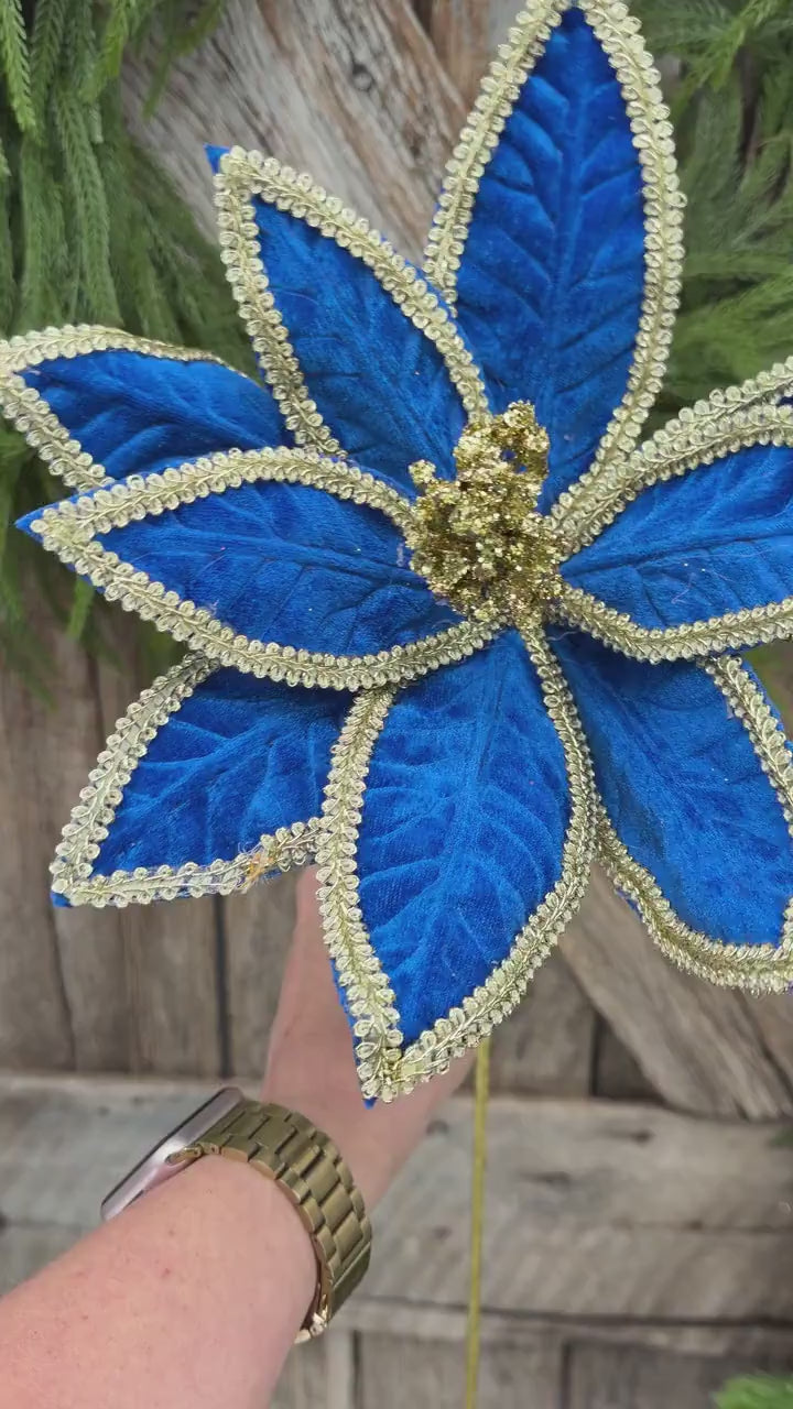 22" Royal Blue Velvet Poinsettia with Gold Trim