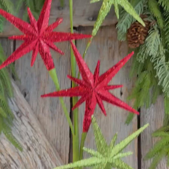27" Bethlehem Star Spray, Red Green Star Spray, Christmas Tree Spray