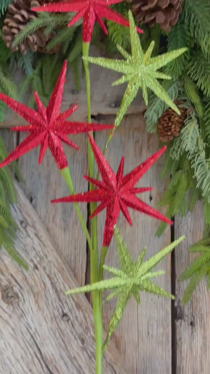 27" Bethlehem Star Spray, Red Green Star Spray, Christmas Tree Spray
