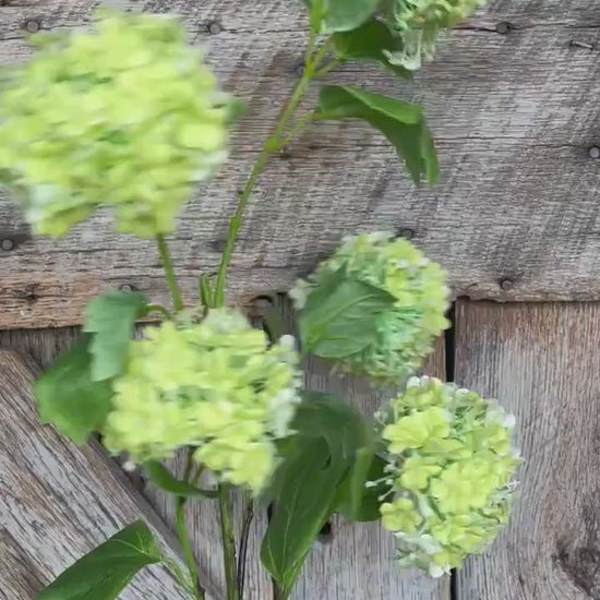 32" Green Snowball Hydrangea Spray, Artificial Hydrangea Florals, Green Hydrangea Spray