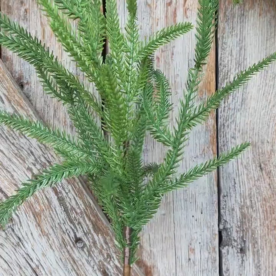 20" Norfolk Pine Spray, Real Touch Norfolk Pine, Artificial Pine Spray