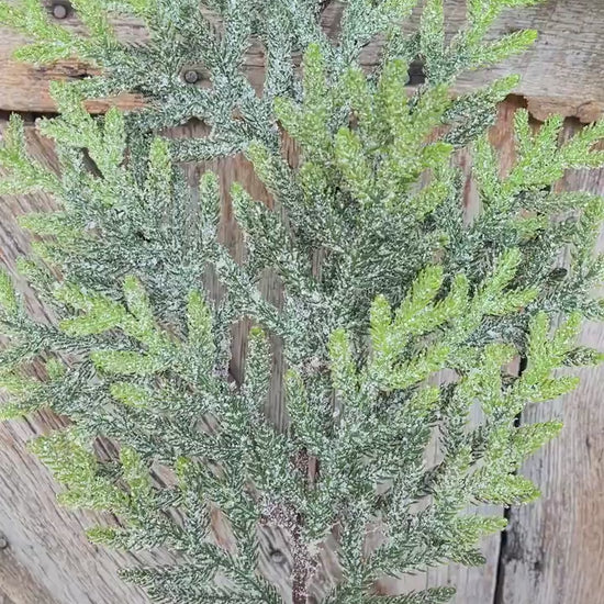 26" Norfolk Iced Pine Spray, Real Touch Norfold Pine, Artificial Pine Spray