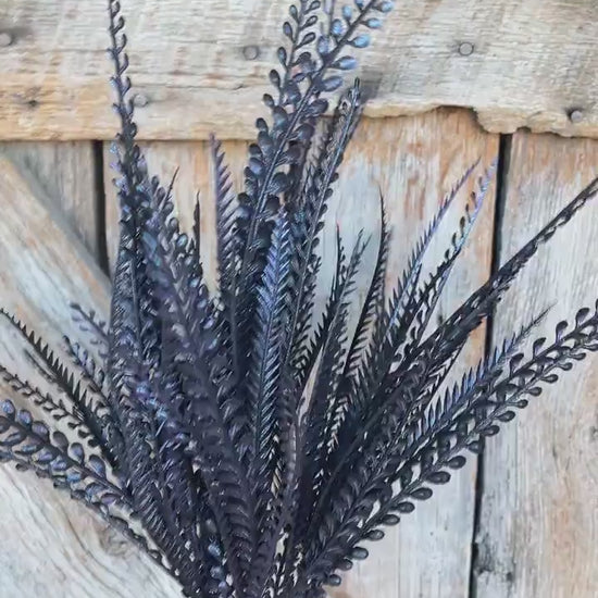 2-" Black Purple Beaded Grass Bush, Black Greenery Bush, Black Filler Bush