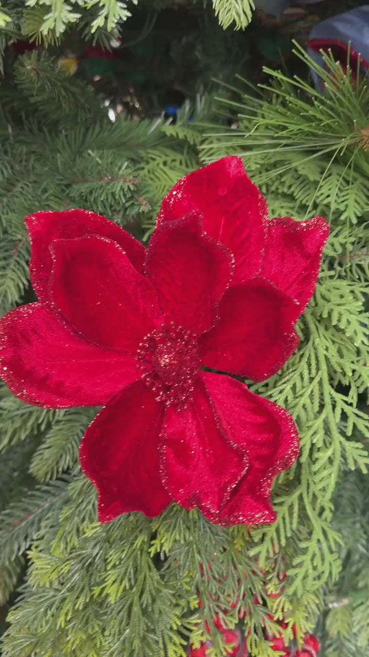 8" Red Velvet Magnolia, Christmas Magnolia