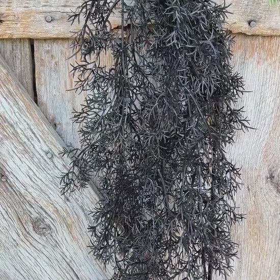 32" Black Hanging Cedar Bush, Halloween Greenery Bush, Hanging Halloween Bush