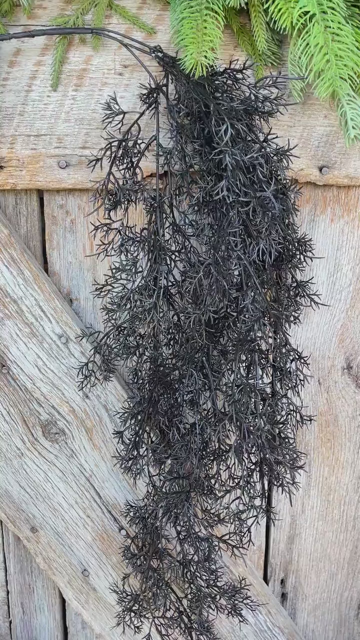 32" Black Hanging Cedar Bush, Halloween Greenery Bush, Hanging Halloween Bush