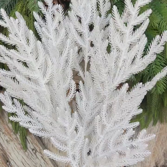 21" White Norfolk Pine Spray, White Christmas SPray, Christmas Tree Topper Spray