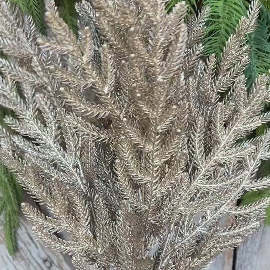 21" Champagne Gold Norfolk Pine Spray, Gold Christmas SPray, Christmas Tree Topper Spray