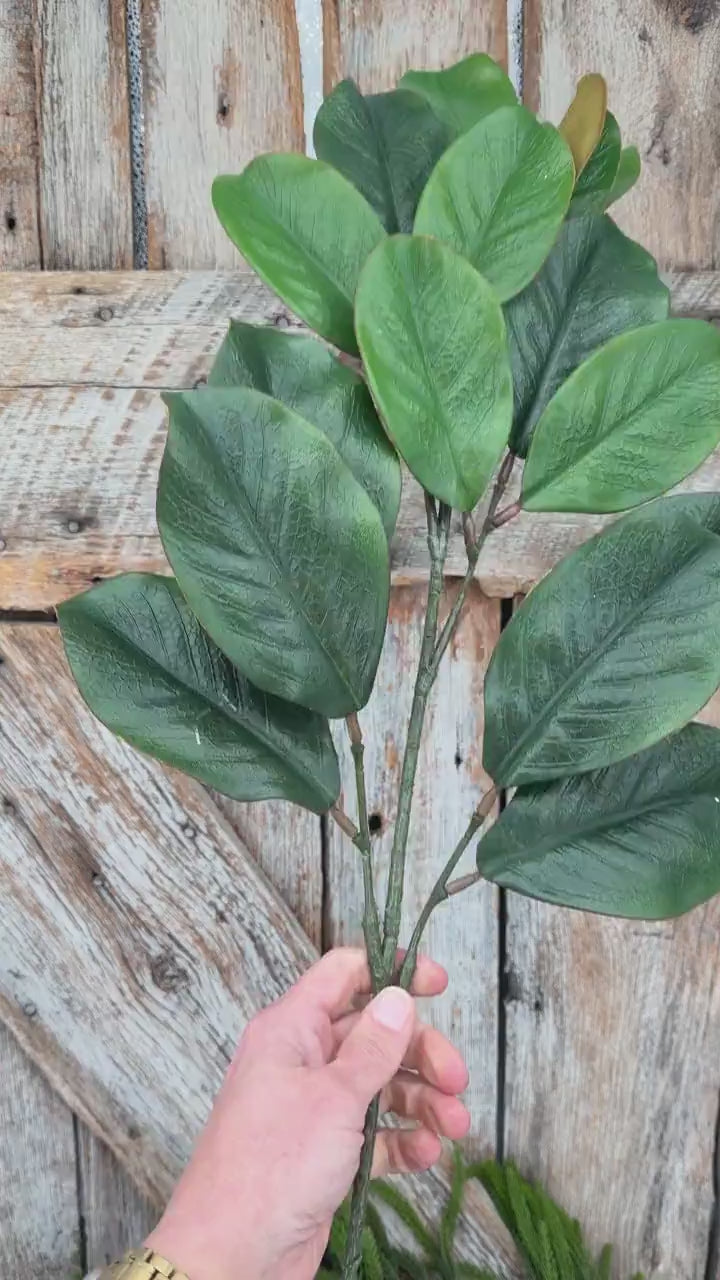 28" Green Magnolia Stem, Christmas Greenery