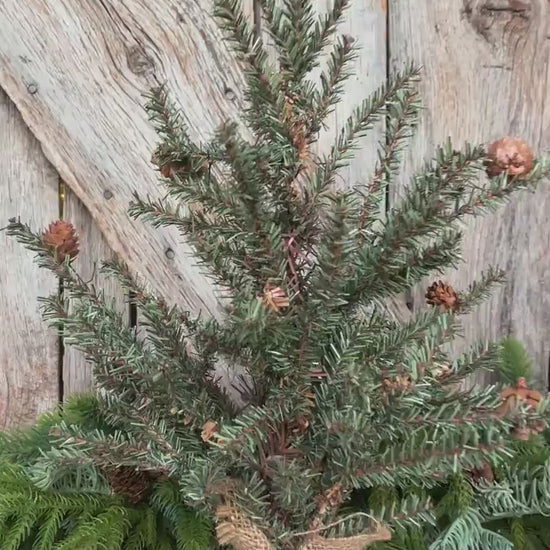 18" Tabletop Christmas Tree, Douglas Fir Seedling Tree, Artificial Tree
